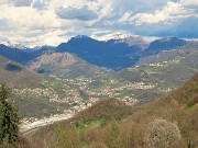 In Canto Alto da Cler di Sedrina-2apr24  - FOTOGALLERY